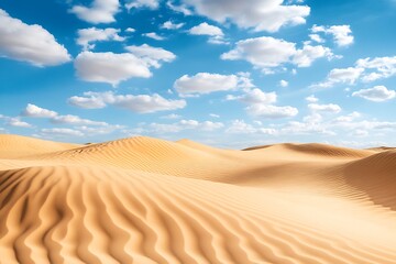 sand dunes in the desert