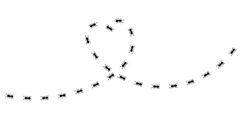 Silhouettes of ants marching in neat lines, showcasing teamwork and organization, Ant Trail Illustration - Black Line Ants Design