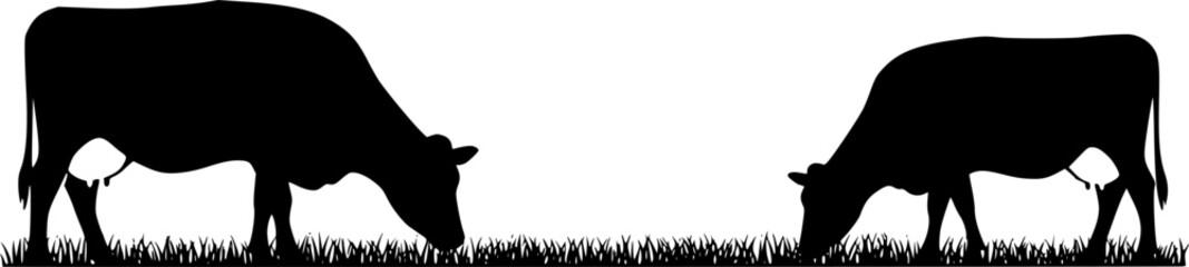 Obraz premium Black Silhouette Cows Grazing in Grass, Farm Animal Vector Illustration 