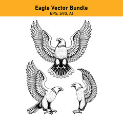 Obraz premium Eagle with spread wings in flight vector illustration