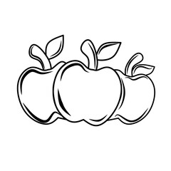 vector illustration of an apple