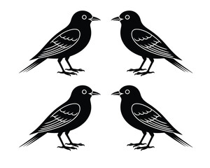 Fototapeta premium Synchronized Birds: Four sleek black birds stand in harmonious symmetry, a symbol of nature's elegance in graphic outline.