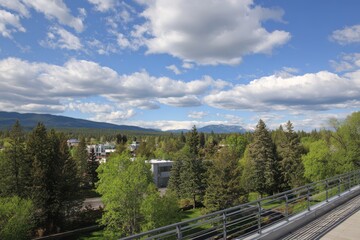 view from the roof of a modern house in a garden, on a nice summer day with a blue sky and clouds