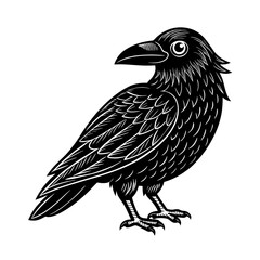 vector illustration of a crow
