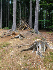 WoodArt