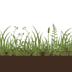 Obraz premium Silhouette of Grass and Plants