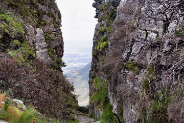 Looking Down Through Platteklip Gorge from the Top of Table Mountain, Cape Town