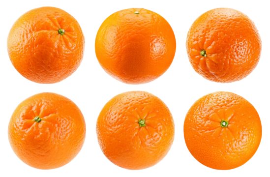 A grid of six vibrant oranges with a black background showcasing their textured peels and bright color