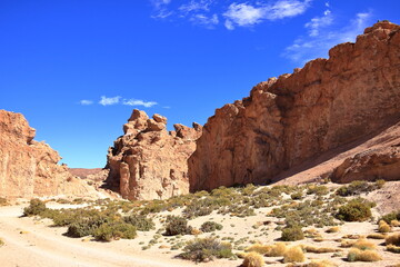 Italia Perdida rock formation (Valle de Rocas, Ciudad Italia) in southern Bolivia