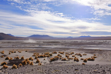 Bolivia, the southwest of the Altiplano, Potosi Department. Laguna Capina, salt lake known for the extraction of borax