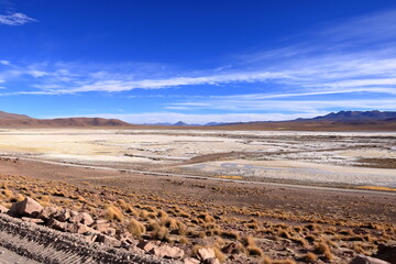 Bolivia, the southwest of the Altiplano, Potosi Department. Laguna Capina, salt lake known for the extraction of borax