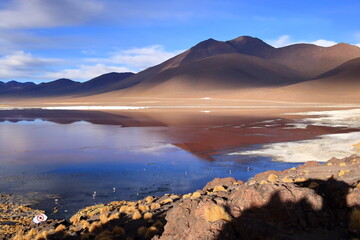 Aerial view of Laguna Colorada with flamingos and mountain reflections, Bolivia