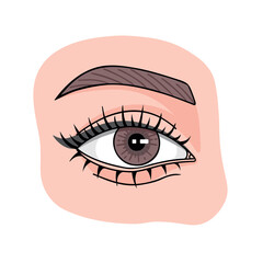 Beautiful brown woman eye with long lashes. Vector Illustration for printing, backgrounds, covers and packaging. Image can be used for greeting card, poster and sticker. Isolated on white background.