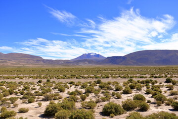 landscape on a road trip from Uyuni to the south of Bolivia