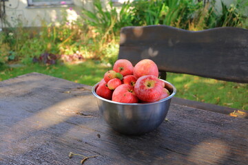 Bowl of ripe red apples on a table in the garden