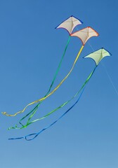 Kites Soaring in the Blue Sky