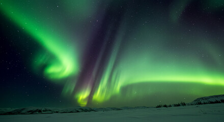 Naklejka premium Spectacular green and purple aurora streams glow brightly over a serene, snow-covered arctic plain at night.