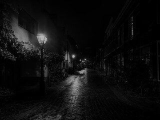 Black-and-white rendering of the same Leiden alley. Glossy cobblestones reflect lamp glow and deep...