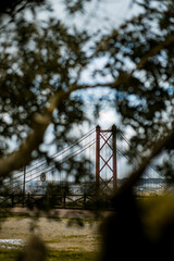 25th of April Bridge in Lisbon through the trees