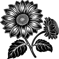 black and white flower