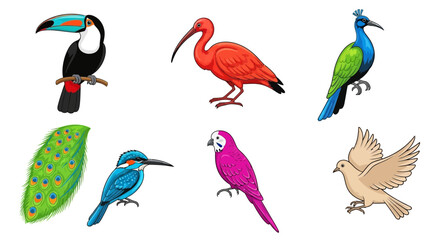 Obraz premium Vector exotic birds illustration featuring toucan ibis peacock kingfisher parrot and dove clip art vector image