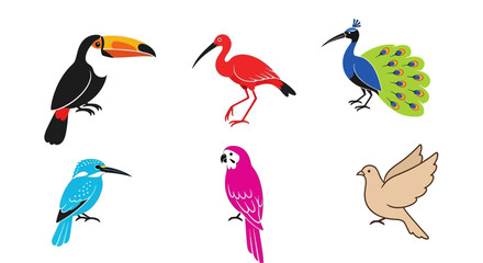Obraz premium Vector illustration of exotic birds toucan ibis peacock kingfisher parrot dove vector drawing colorful wildlife art