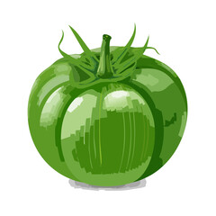 Green Tomato Illustration: Fresh Vegetable Artwork with Detailed Plant Elements