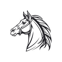Horse Head with Bridle