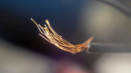 Close-up of copper electrical wire strands, showing detailed texture and twisted filaments. Ideal...