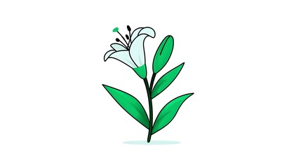 Obraz premium Stylized plant with white flower and green leaves