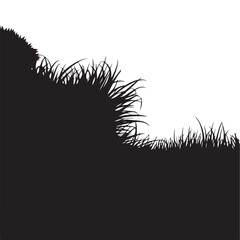 Silhouette of Grass and Plants