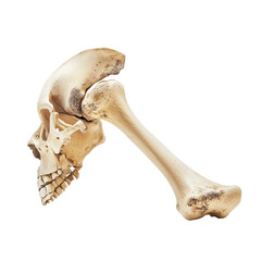 Fototapeta premium painful shoulder ankle joint, Visual representation of joint pain, isolated on transparent background