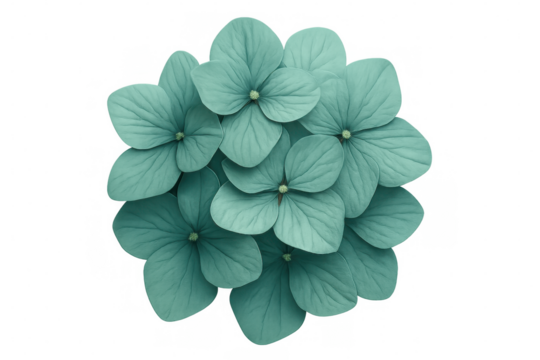 Turquoise hydrangea flowers are forming a beautiful ball shape on a transparent background, perfect for design projects - Powered by Adobe
