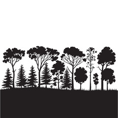 Silhouette of Trees in a Forest Landscape