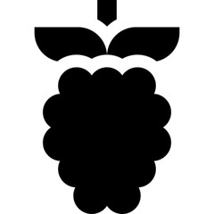 Raspberry Fruit Icon