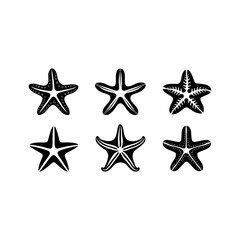 black and white stars isolated on white