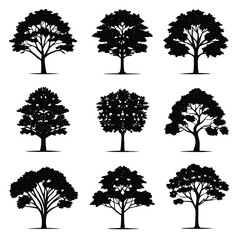 Obraz premium Collection of 10 to 15 clean tree silhouettes for nature and design projects