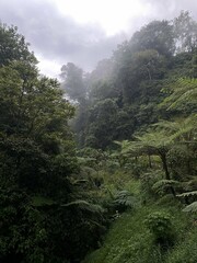 Stunning Waterfall in Bali's Lush Tropical Landscape