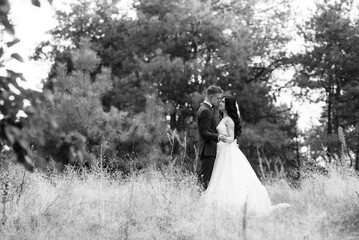 young couple a guy and a girl are walking in the green hills