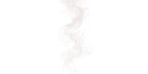 A swirling column of white smoke rising against a stark black background in a vertical orientation