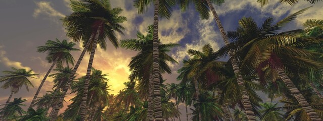 Sunset among palm trees, palm trees and sky, 3D rendering