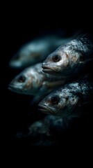 Fototapeta premium A school of deep sea fish hunting in the darkness with dramatic lighting and contrast long title A close up view of a group of mysterious deep sea