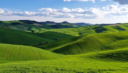 Fototapeta premium landscape with green field and blue sky