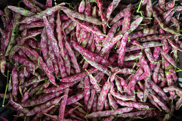 Fresh Cranberry Beans at Traditional Market in Penang
