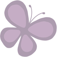 butterfly on white background