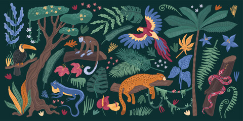 Jungle animals. Tropic toucan bird, cute nature parrot, safari zoo. Monkey, snake and jaguar. Pattern exotic palm and liana background. Rainforest art. Vector cartoon illustration