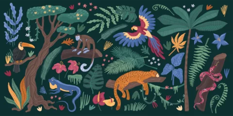 Keuken achterwand Dierentuin Jungle animals. Tropic toucan bird, cute nature parrot, safari zoo. Monkey, snake and jaguar. Pattern exotic palm and liana background. Rainforest art. Vector cartoon illustration  © SpicyTruffel