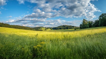 The panoramic view of a lush green field under a vibrant sky.