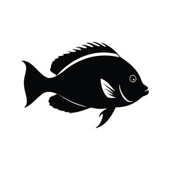 Black and White Illustration of a Fish with Spiky Dorsal Fin