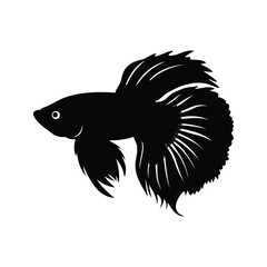 Silhouette of a Stunning Black Betta Fish with Elaborate Fins and Tail